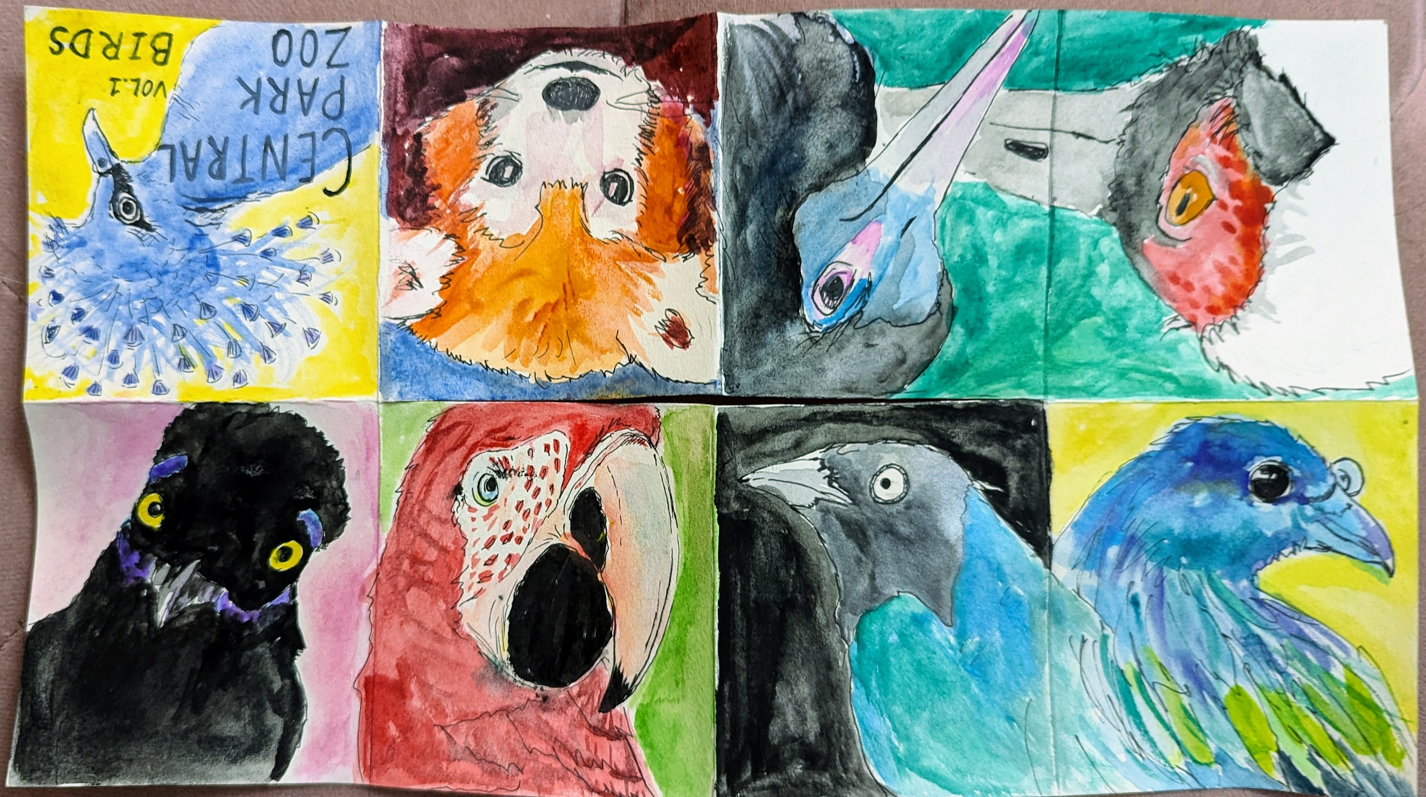 Oiseaux - birds_9